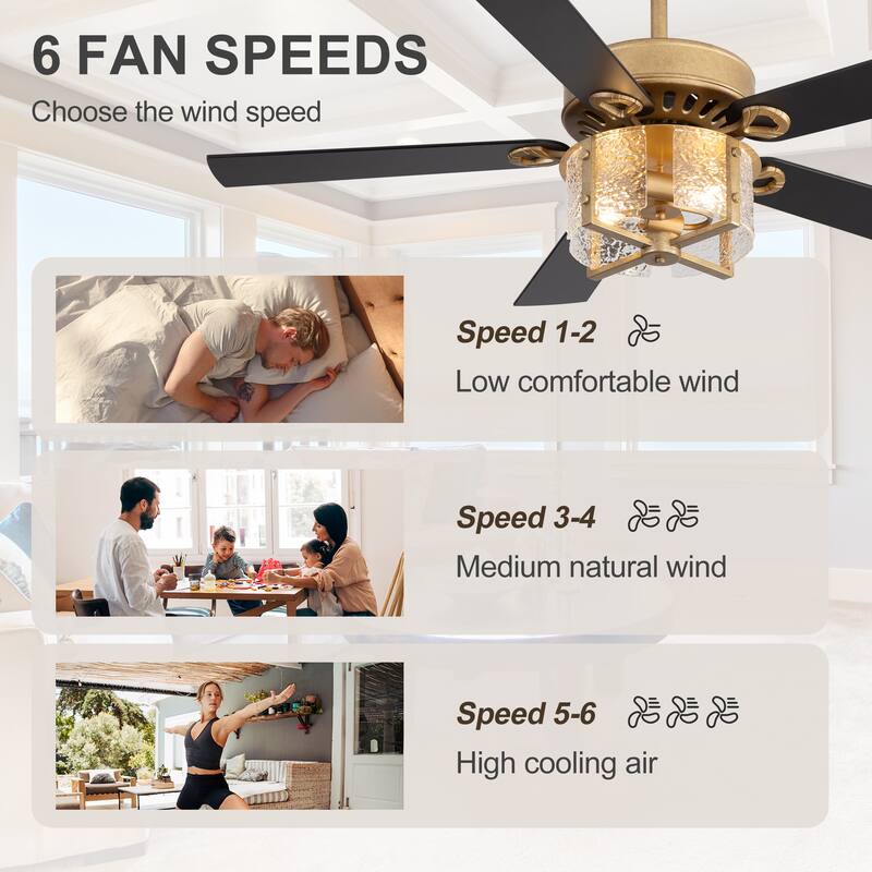 52" Reversible 5-Blade Caged Ceiling Fan with Light and Remote