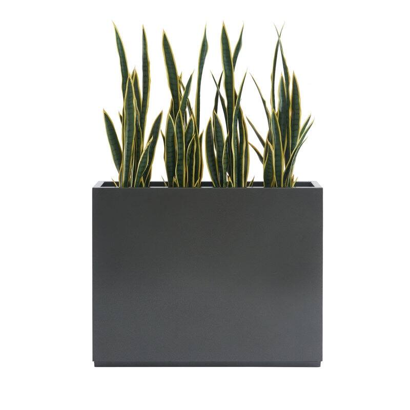 Option Grey