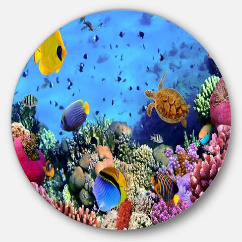 Designart 'Coral Colony and Coral Fishes' Seascape Photo Round Metal Wall Art