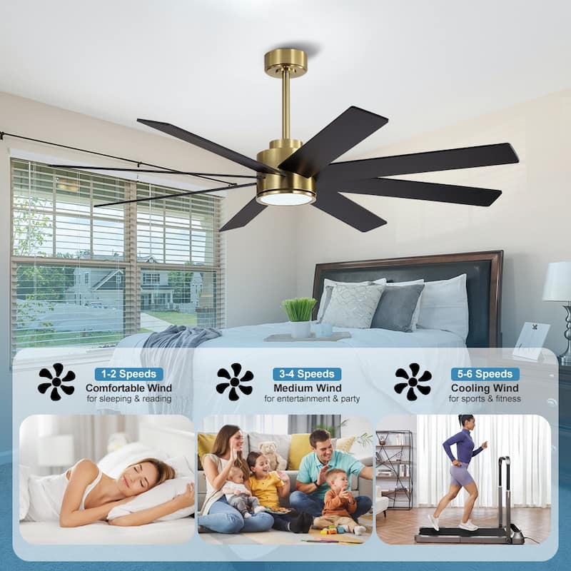 MLiAN 72 in. 8 Plywood Blades Indoor LED Ceiling Fan With Remote......