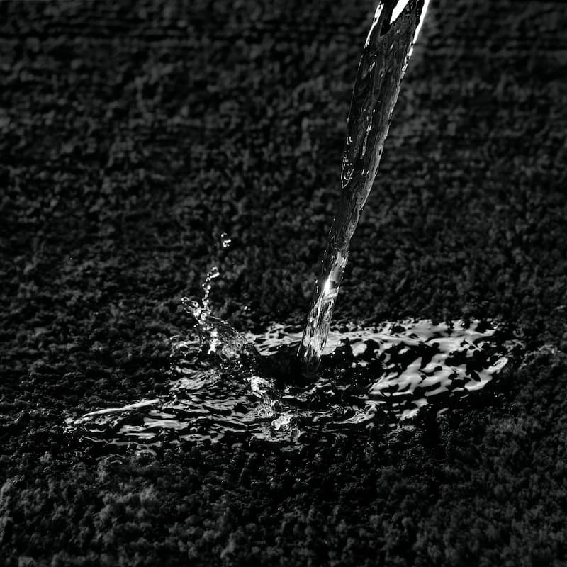 Madison Park Signature Splendor 100-percent Cotton Tufted 3000 GSM Reversible Bath Rug