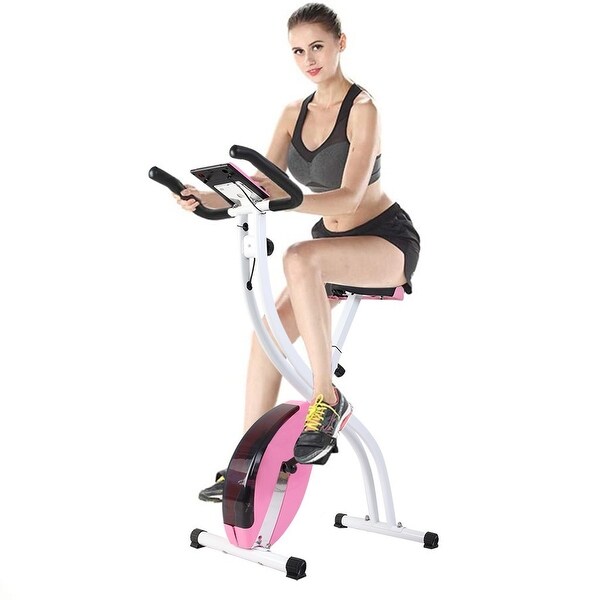 Pleny 2 in 1 exercise bike cheap