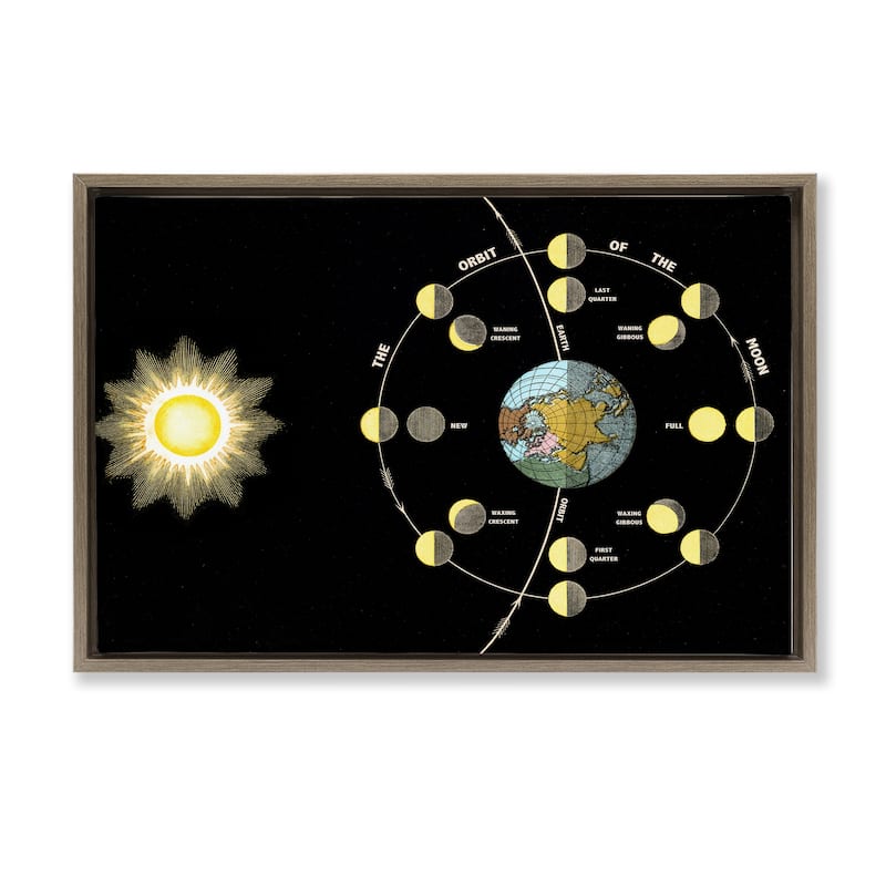 Stupell Moon's Orbit & Phases Framed Floater Canvas Wall Art Design By Phillipa Katz - 25 x 17 - Brown