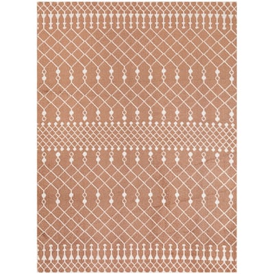 Nourison Astra Machine Washable Moroccan Area Rug
