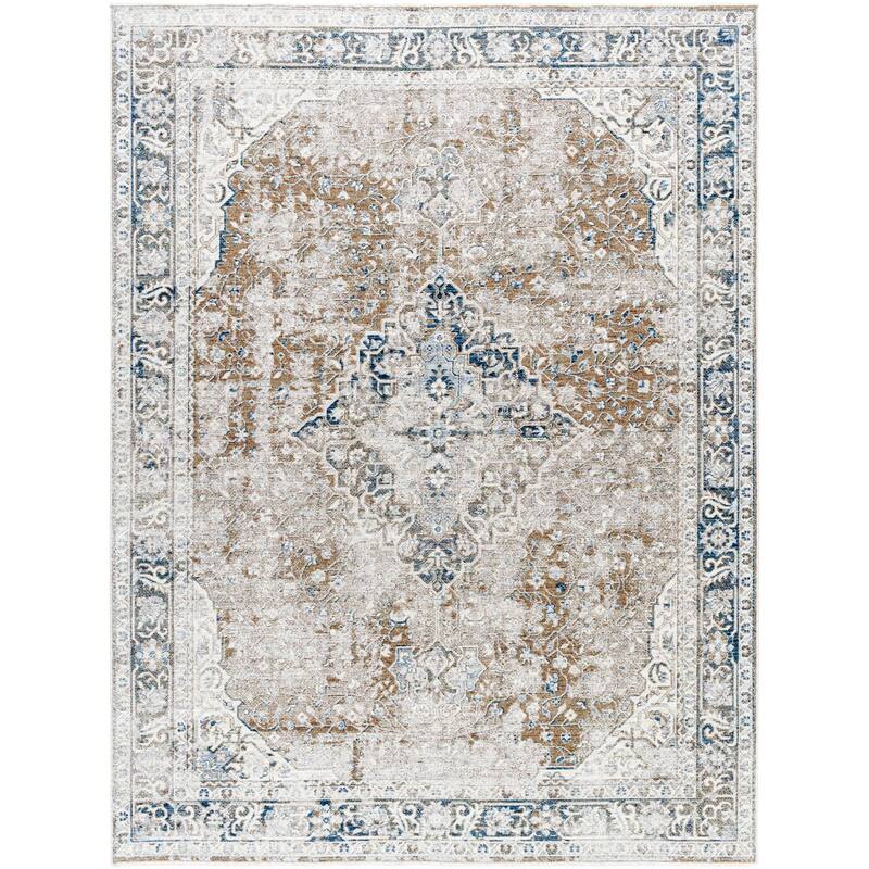 Dobbins Traditional Medallion Area Rug