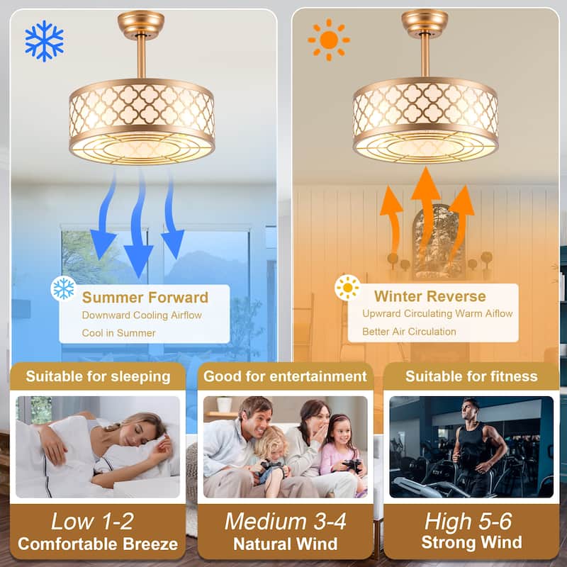 Cusp Barn 18" Fandelier Caged Ceiling Fan with Lights and Remote, Modern Gold 6 Speeds Reversible DC Motor Indoor Ceiling Fan