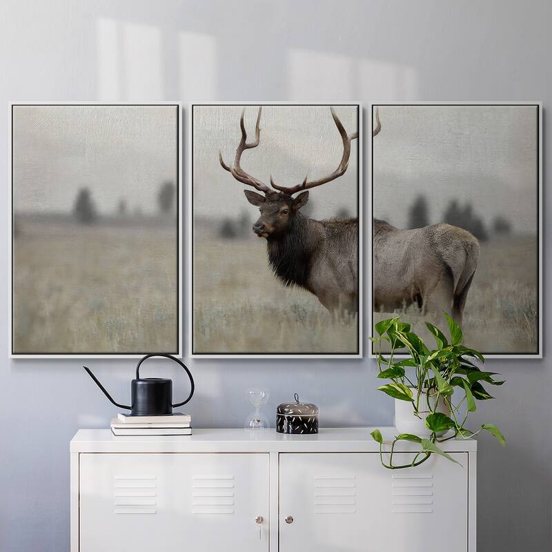 Grand Elk - Multi Piece Framed Canvas
