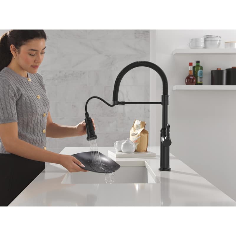 Delta 18829-DST Rhett 1.8 GPM Single Hole Pre-Rinse Pull Down Kitchen