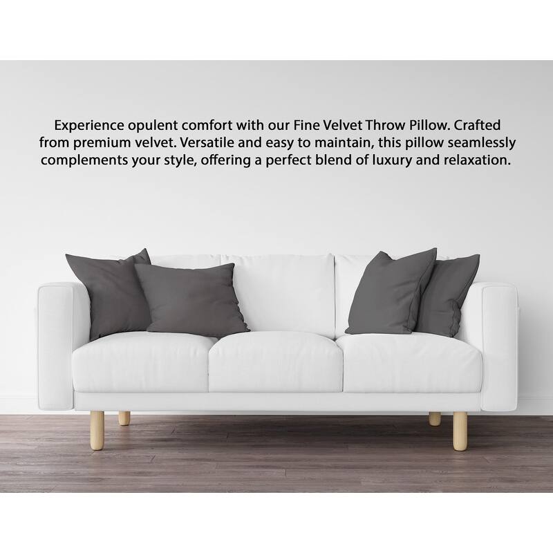 A1HC Pack of 2 Velvet Throw Pillow Insert, Hypoallergenic Down Alternative Fill
