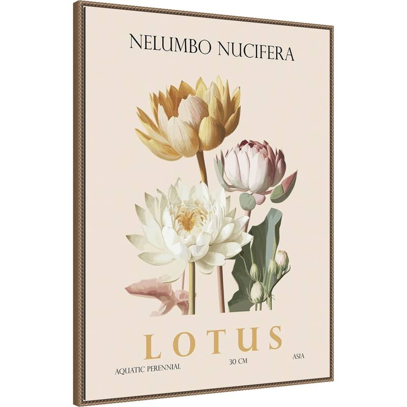 Vintage Botanical Lotus Illustration by Christopher Giampietro Framed Canvas Wall Art Print
