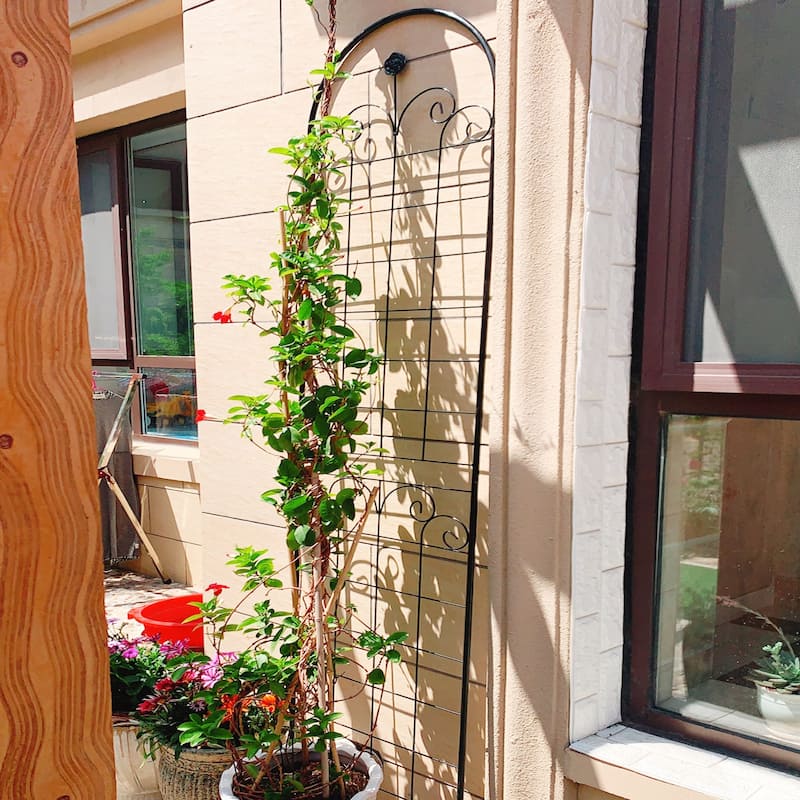 2 Pack Metal Garden Trellis for Climbing Plants Outdoor 86.7'' x 19.7'' Rustproof Plant Support Rose Trellis