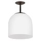preview thumbnail 11 of 9, Hinkley Lighting 45097 Willa 12" Wide Pendant