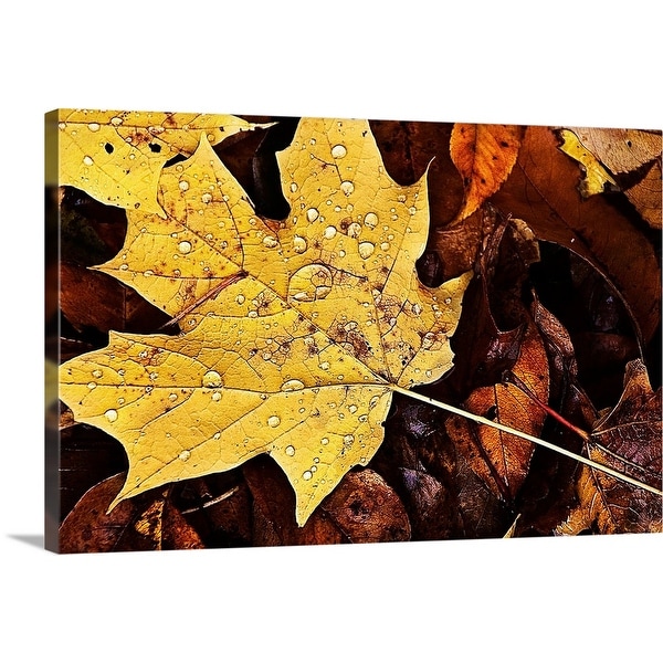 "Drops" Canvas Wall Art