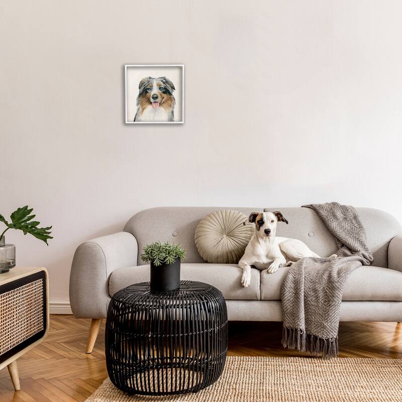 Stupell Soft Charming Australian Shepard Dog Portrait Framed Wall Art,12x12