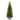 National Tree Company 6 ft. Kingswood Fir Pencil Tree - 6 Foot