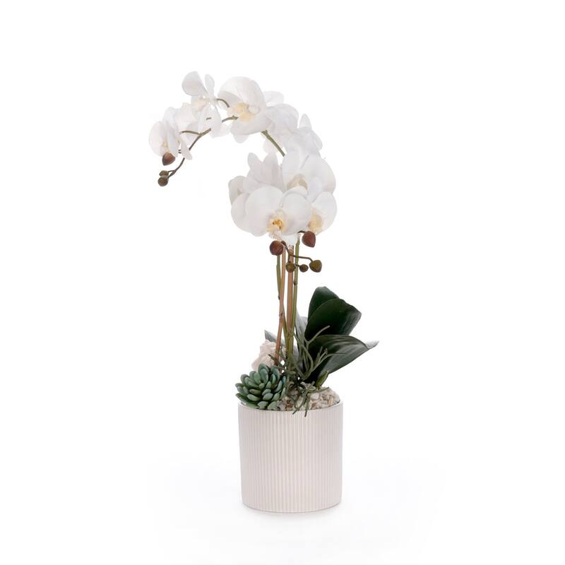 Real Touch White Orchid Flower Arrangement in White Pot