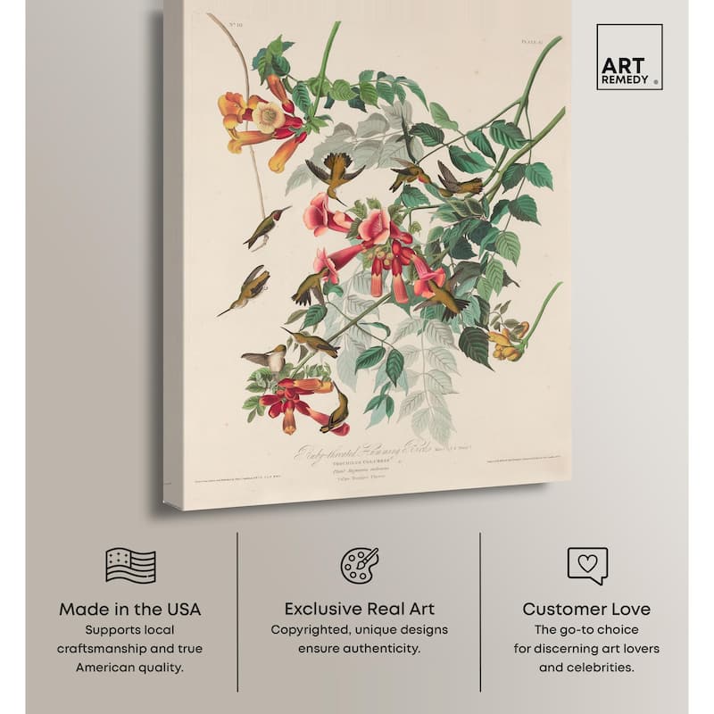 Trochilus Colubris Canvas by Art Remedy, Gallery Wrapped
