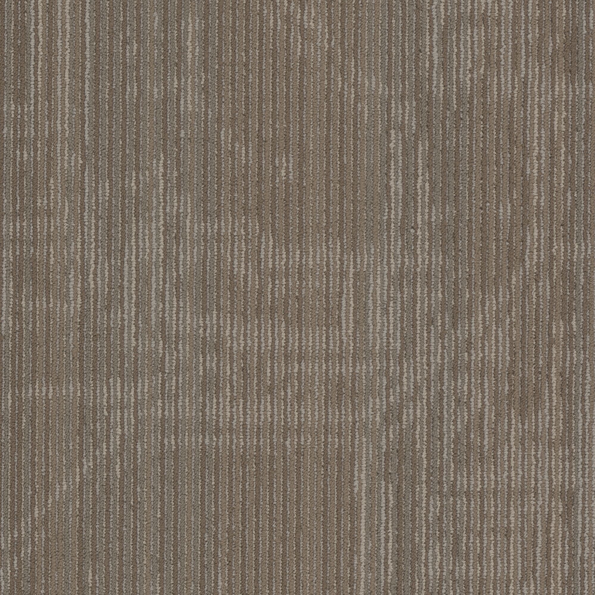 Shaw Philadelphia Commercial Encrypt 18" x 36" Glue Down Carpet Tile -