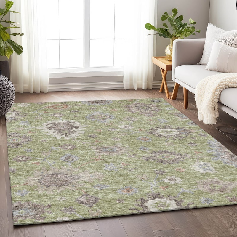 Premium Washable Super Soft Traditional Farmhouse Mayfield Rug - Aloe - 2' 6" x 3' 10"