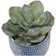 preview thumbnail 2 of 1, Uttermost 60192 Puebla Set of (3) Greenery Succulent and Spider Plants - Cobalt Blue / White