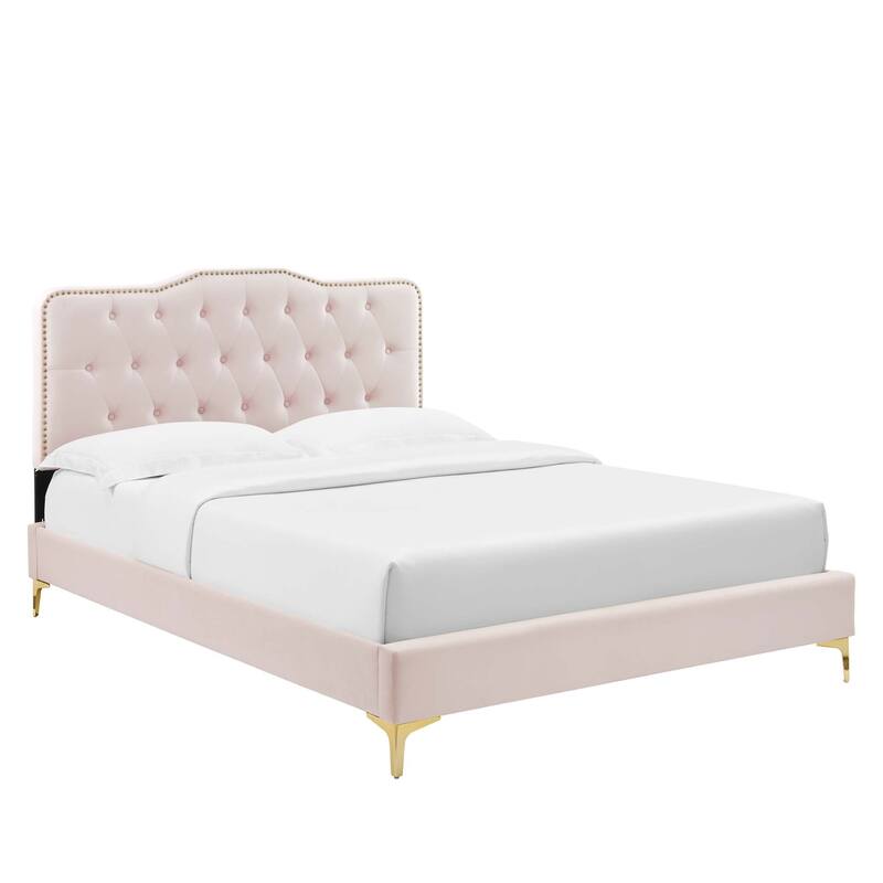 Amber Performance Velvet Queen Platform Bed - Pink