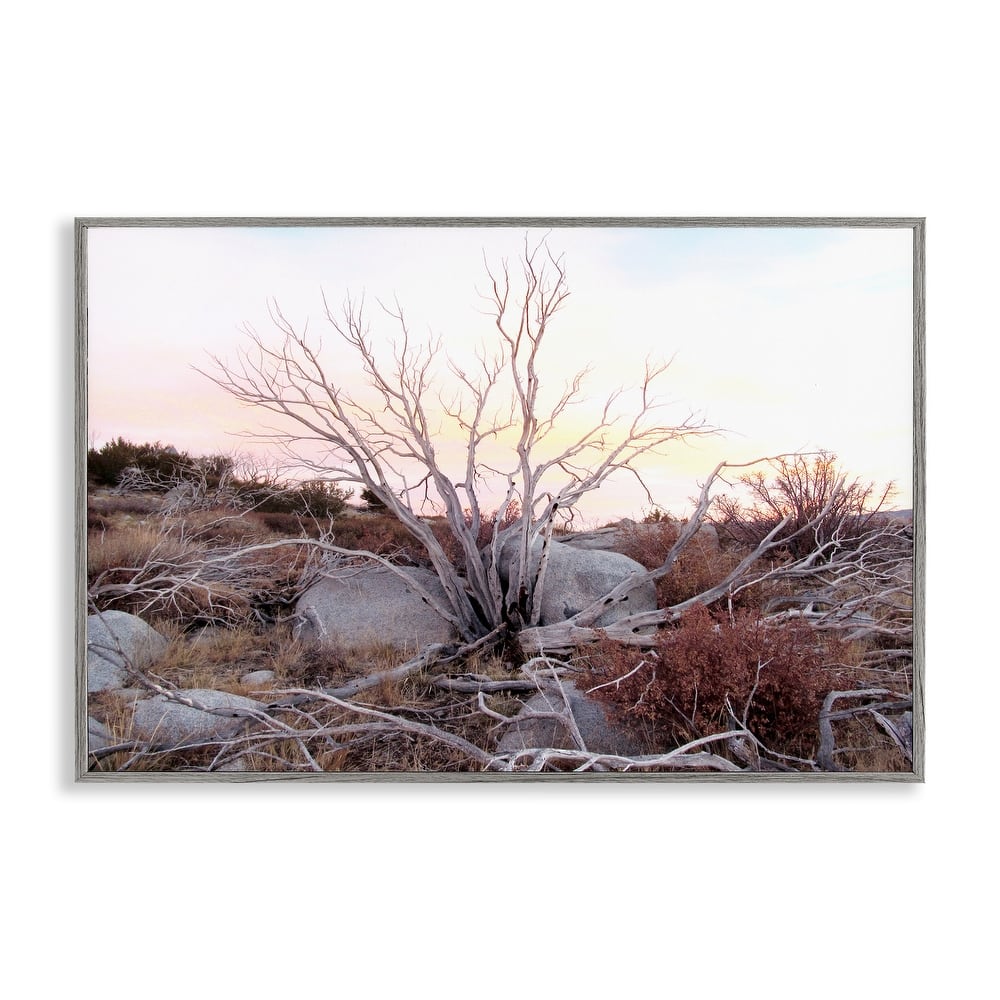 Stupell Rocky Foothills Terrain Framed Giclee Art Design By Gemma Bardot