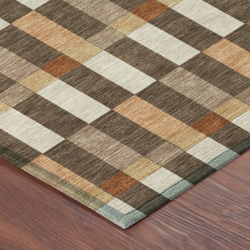 Machine Washable Indoor/ Outdoor Modern Chanute Chantille Rug