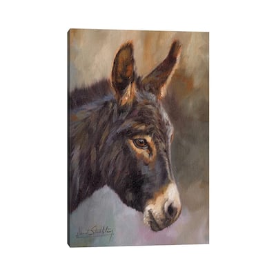 iCanvas "Donkey" by David Stribbling Canvas Print