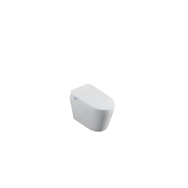 Tankless Smart Toilet with Bidet