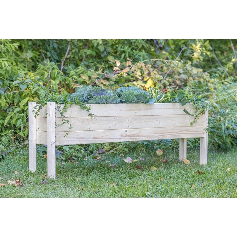 Zylina Raised Garden Planter Collection - Extra Long - 60 x 12 x 22