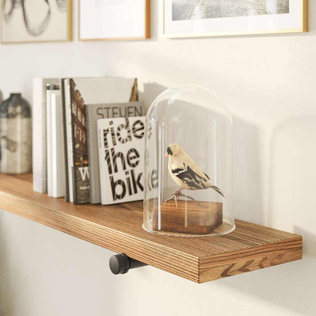 Wallniture 48"x 9.25" Industrial Pipe Shelf, Wood Shelf for Wall, Wall Mount Bookshelf, Shelves for Living Room, Finish Options