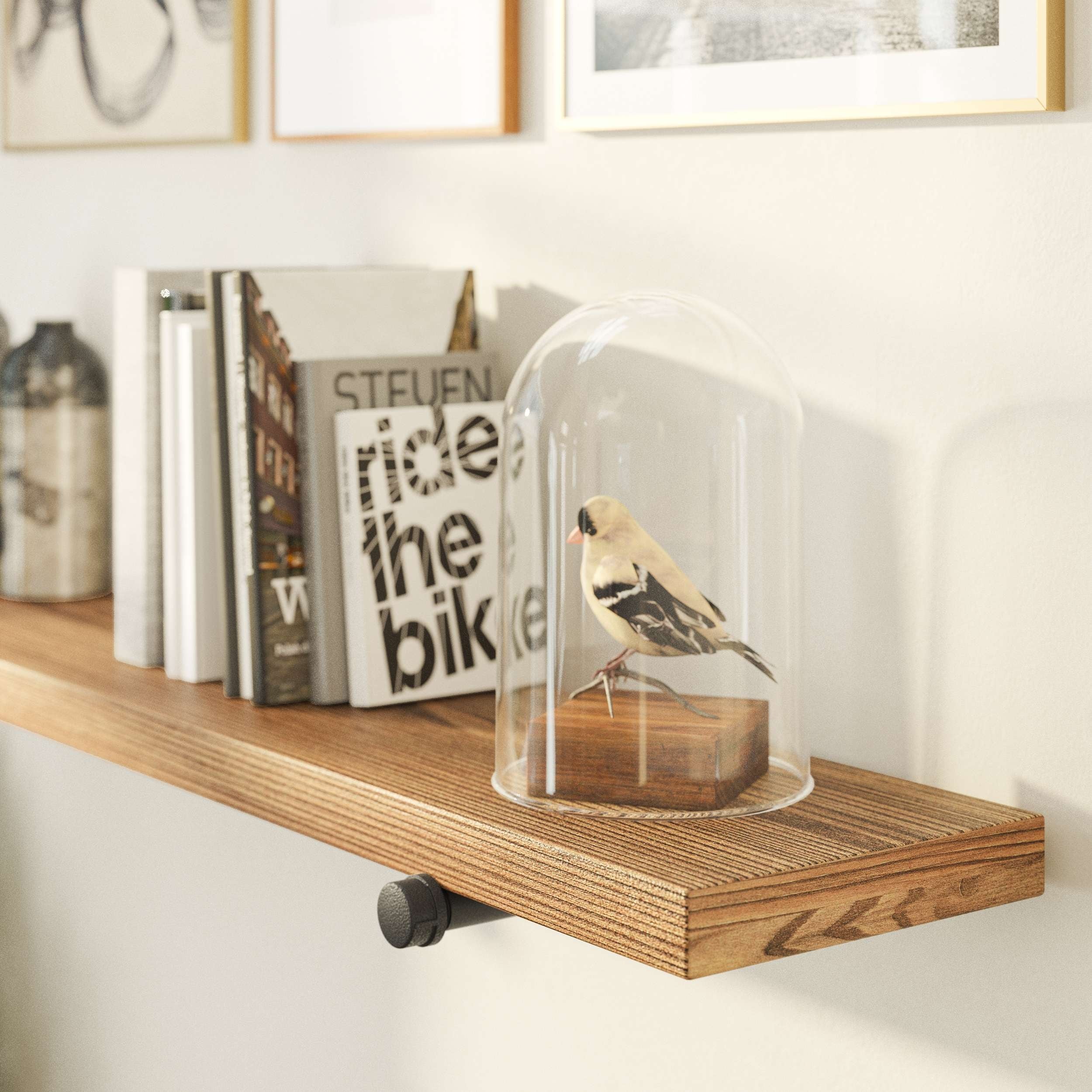 Wallniture 48"x 9.25" Industrial Pipe Shelf, Wood Shelf for Wall, Wall Mount Bookshelf, Shelves for Living Room, Finish Options