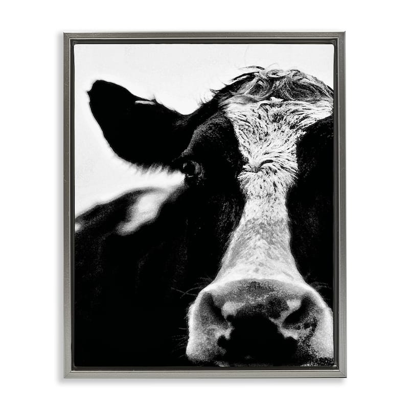 Stupell Cow Black And White Close Up Floater Frame