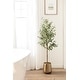 preview thumbnail 17 of 24, Kate and Laurel Oliveira Faux Olive Tree
