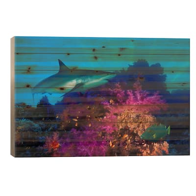 Caribbean Reef shark (Carcharhinus perezi) and Soft corals in the ocean Print On Wood by Panoramic Images - Multi-Color