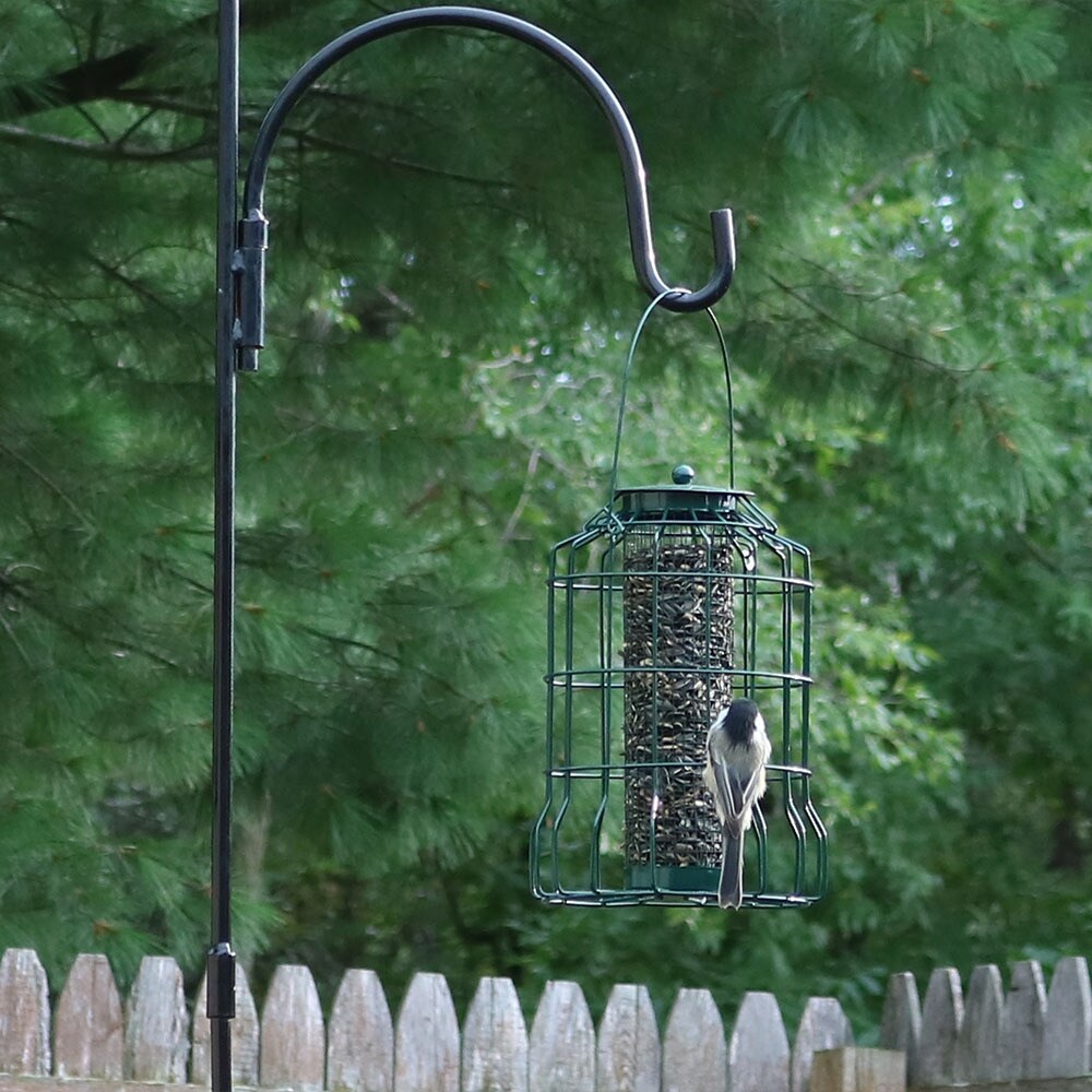 Shop Sunnydaze Outdoor Garden Green Wire Caged Hanging Bird Feeder