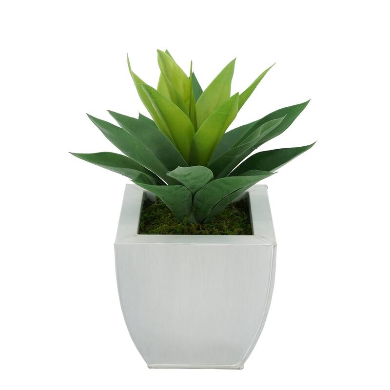 Faux Frosted Light Green Succulent in Tapered Zinc Planter