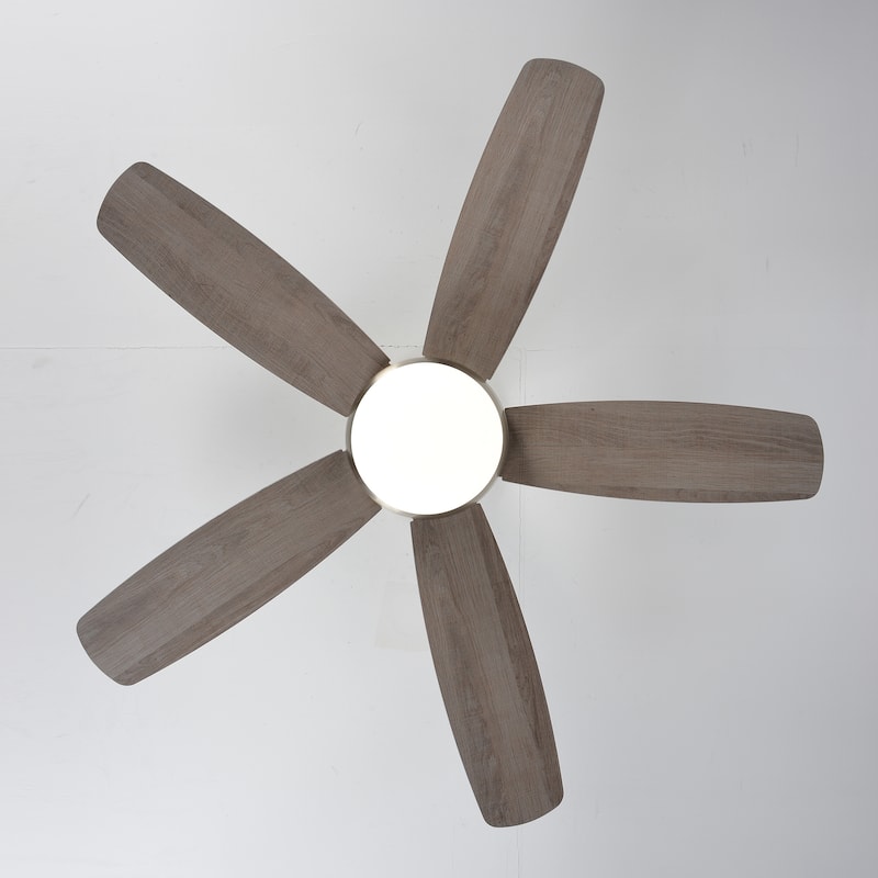 Ceiling Fan with Dimmable LED Light Remote Control