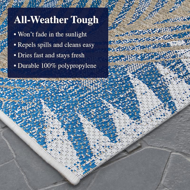 Dream Decor Rugs Samantha Coconut Creek Indoor Outdoor Area Rug