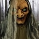preview thumbnail 9 of 17, Haunted Hill Farm 5.3-Ft. Life-Size Talking Animatronic Witch with Red Eyes