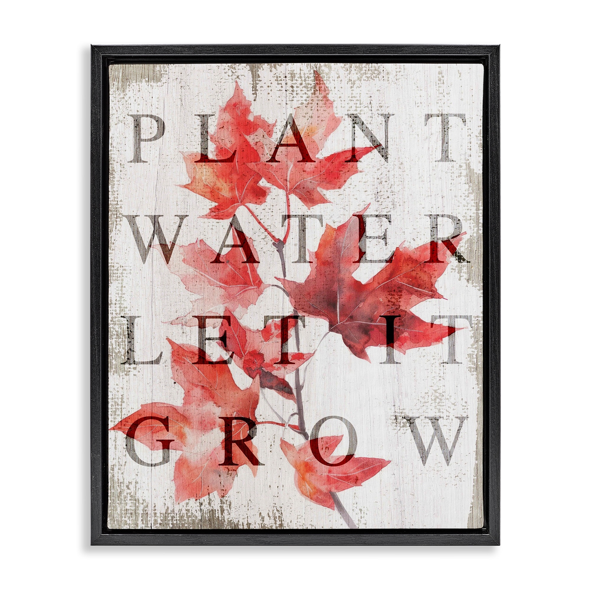 Stupell Plant Water Let It Grow Framed Floater Canvas Wall Art Design By Lil' Rue
