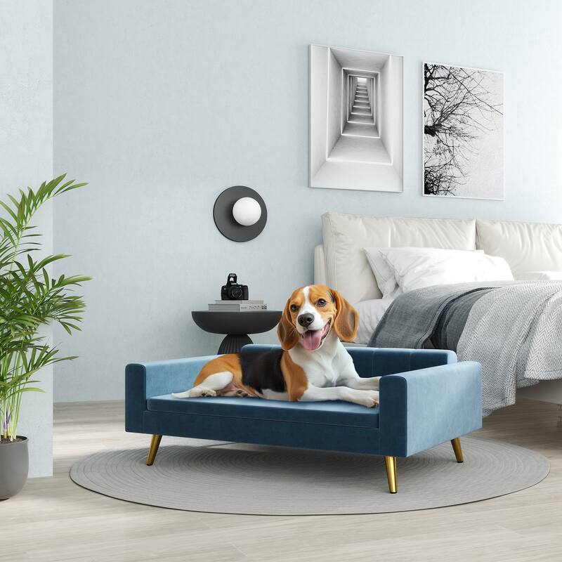 PawHut Dog Sofa, Pet Sofa Bed, Modern Velvety Dog Couch for Small to Medium Dogs, Dark Blue