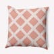Option Soft Coral