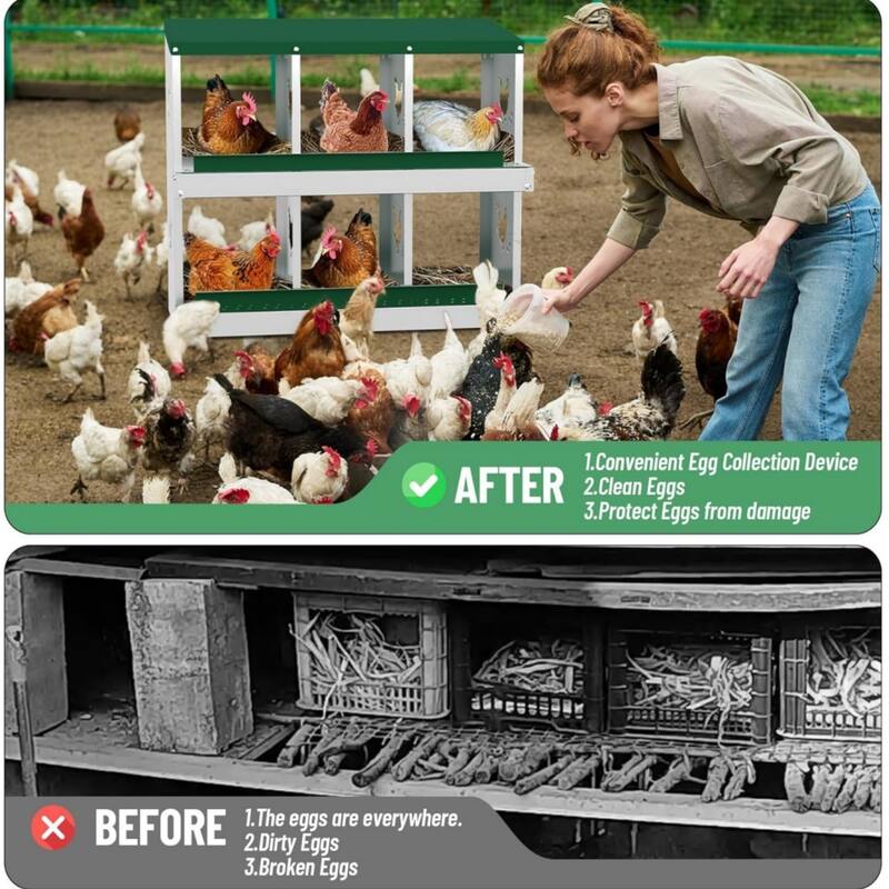 Chicken Nesting Box Nesting Boxes