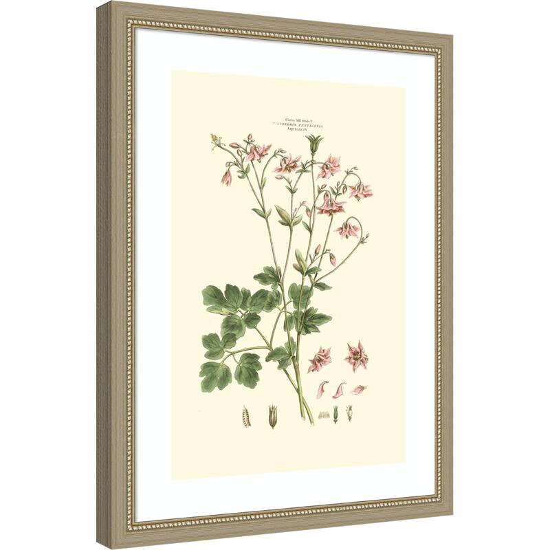 Small Blushing Pink Florals No. 9 by John Miller Wood Framed Wall Art Print