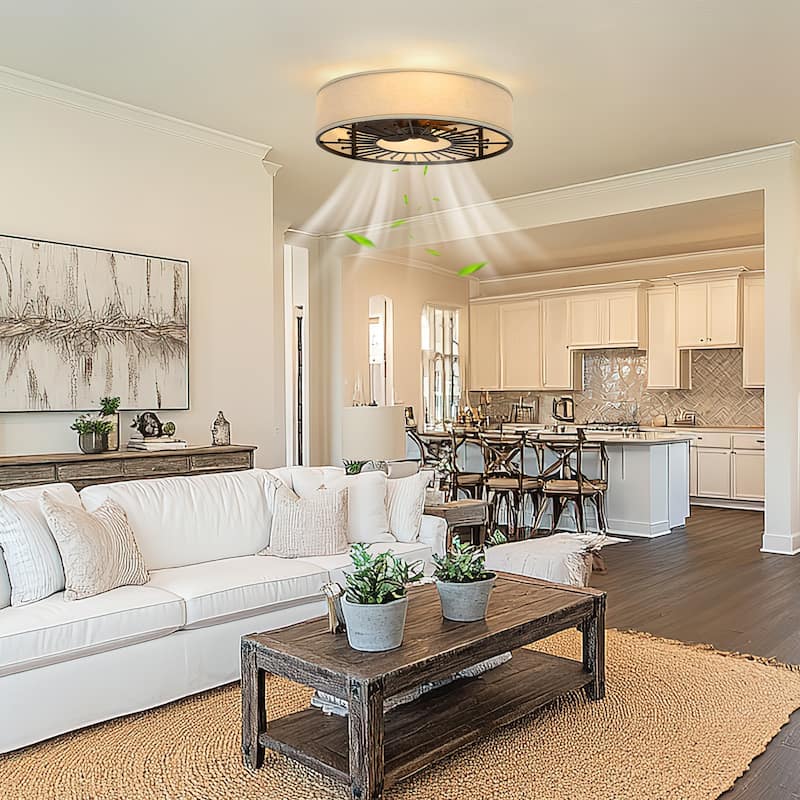 20-Inch Indoor Black Low Profile Cage Ceiling Fan - 20 Inches