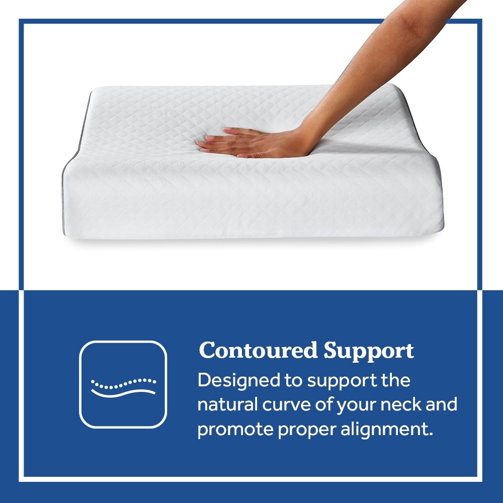 Sealy contour sales pillow