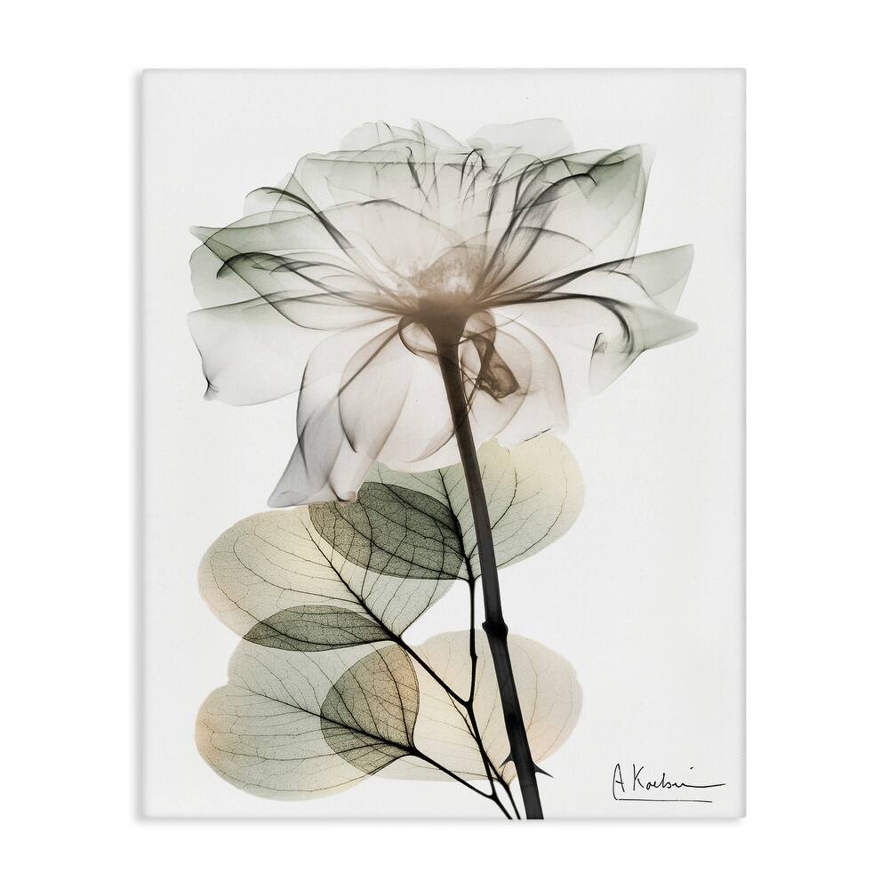 Stupell Modern Minimalist Buds Canvas Wall Art Design By Albert Koetsier