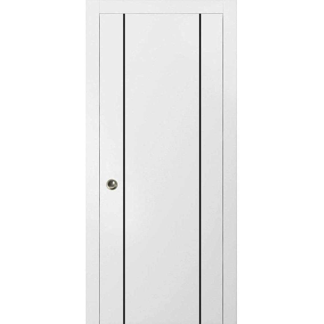 French Pocket Door 28x80 with Planum 0016 White Silk with Kit Trims Rail