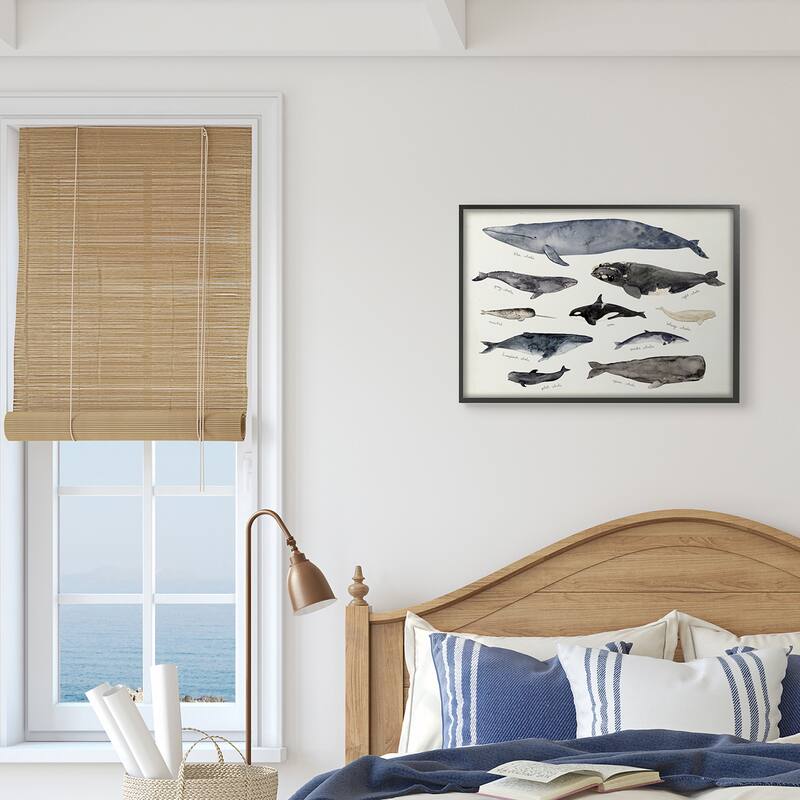 Stupell Vintage Nautical Chart of Whales Ocean LifeFramed Giclee Texturized Art by Victoria Barnes